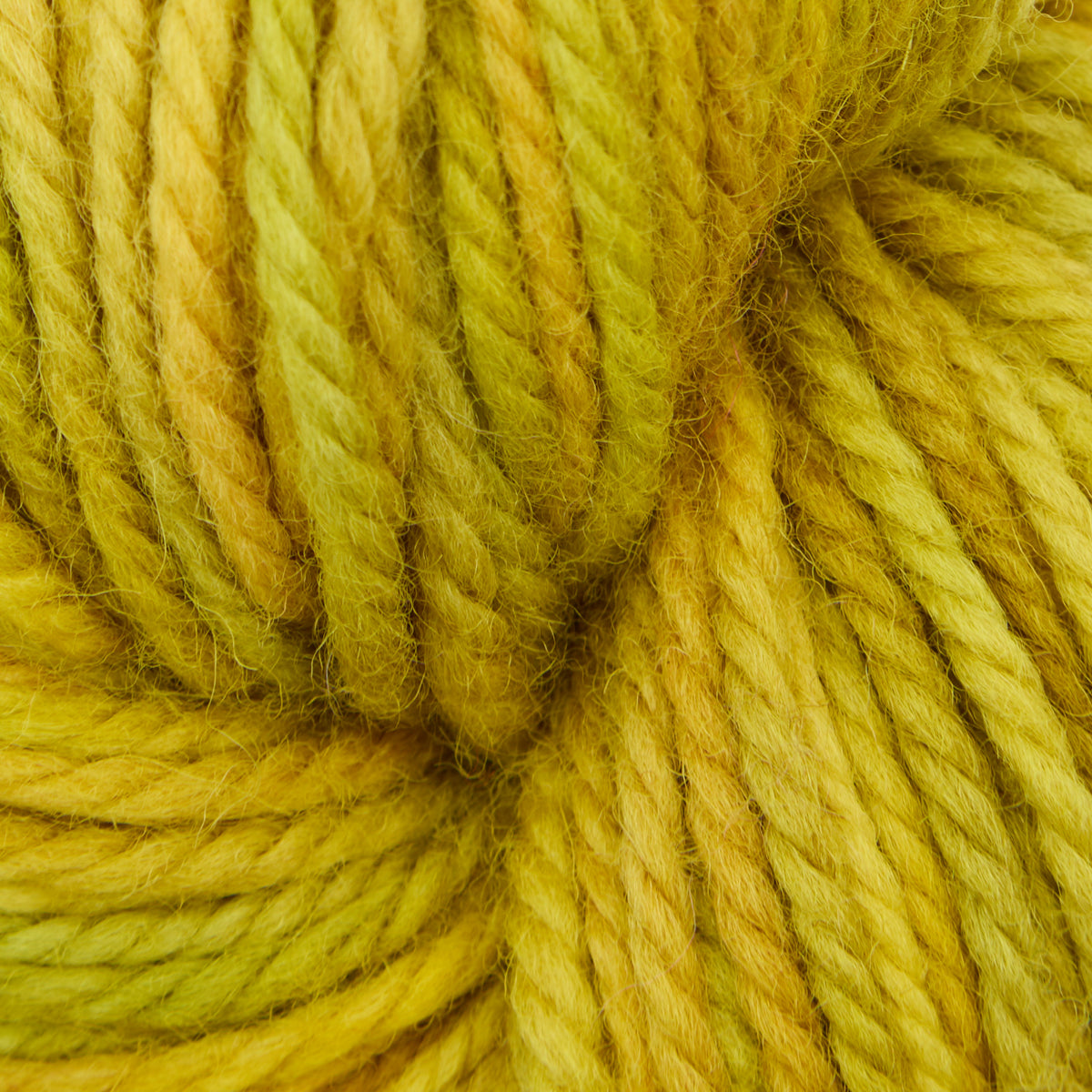 the-oxford-company-violet-jane-mustard-seed-fil-fin-jaune image 1