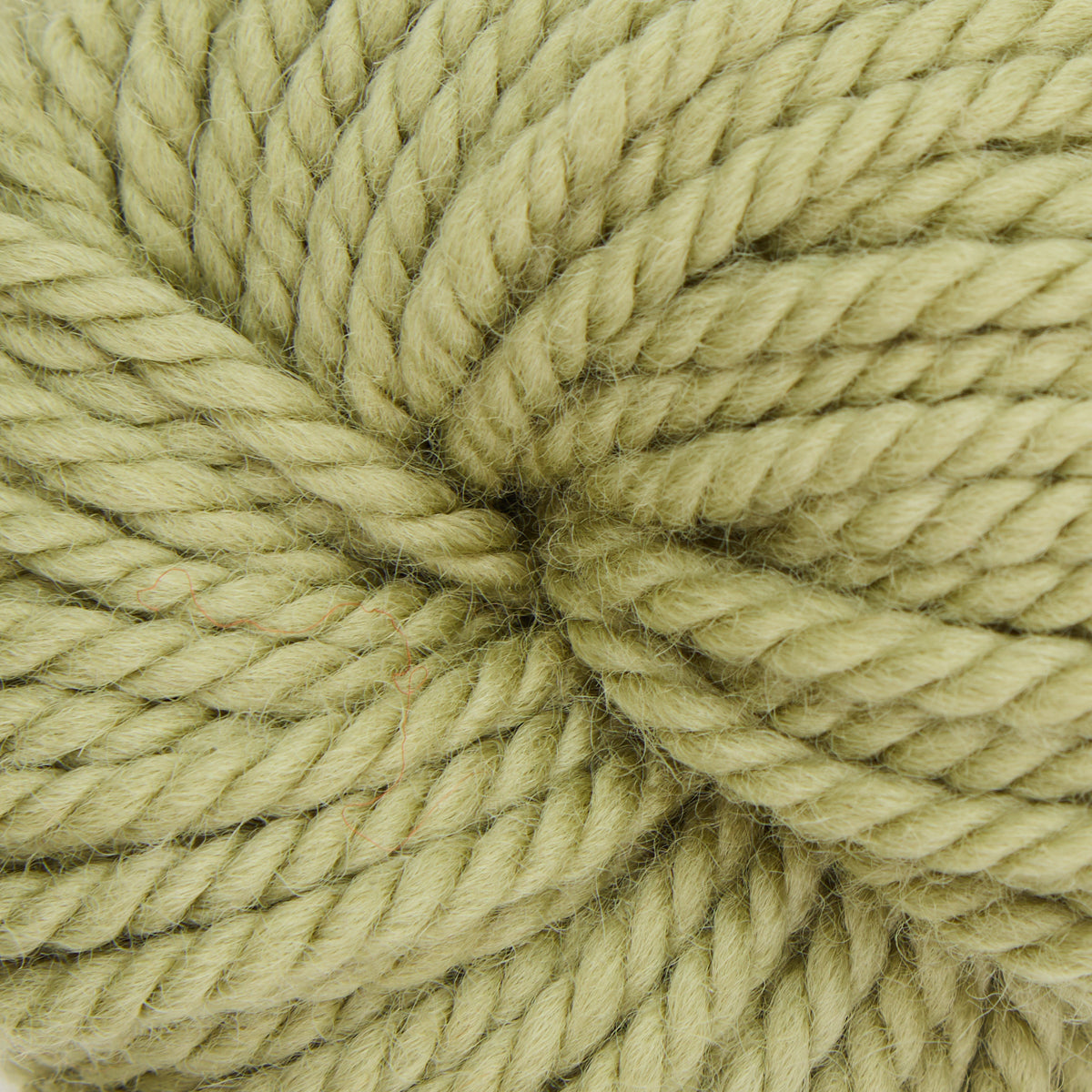 oxford-violet-jane-herb-garden-laine-tapis-punch-vert-113-g image 1