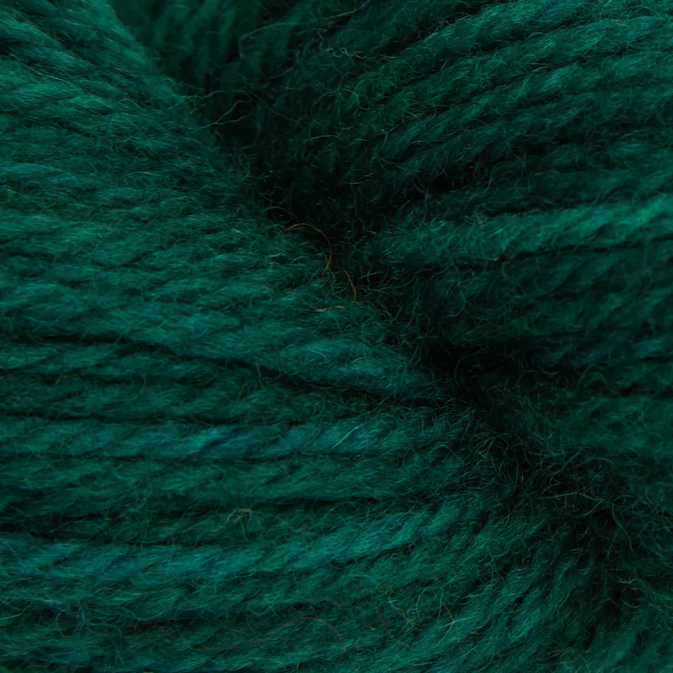the-oxford-company-violet-jane-evergreen-dark-laine-vert-fonc-113-g image 1