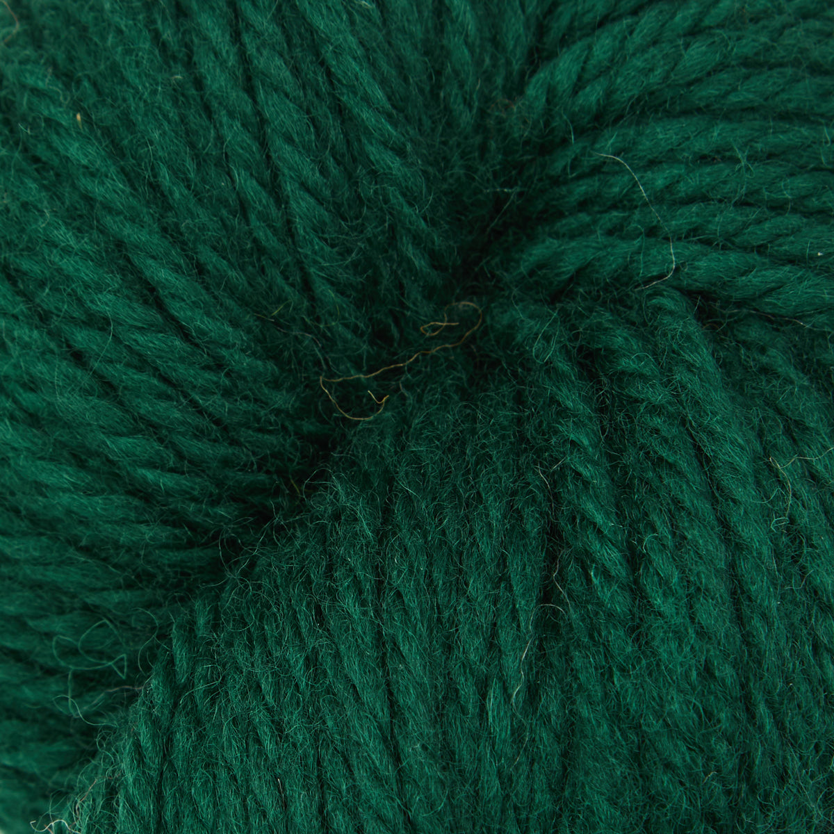 oxford-violet-jane-spinach-leaf-fil-fin-100-laine-vert image 1
