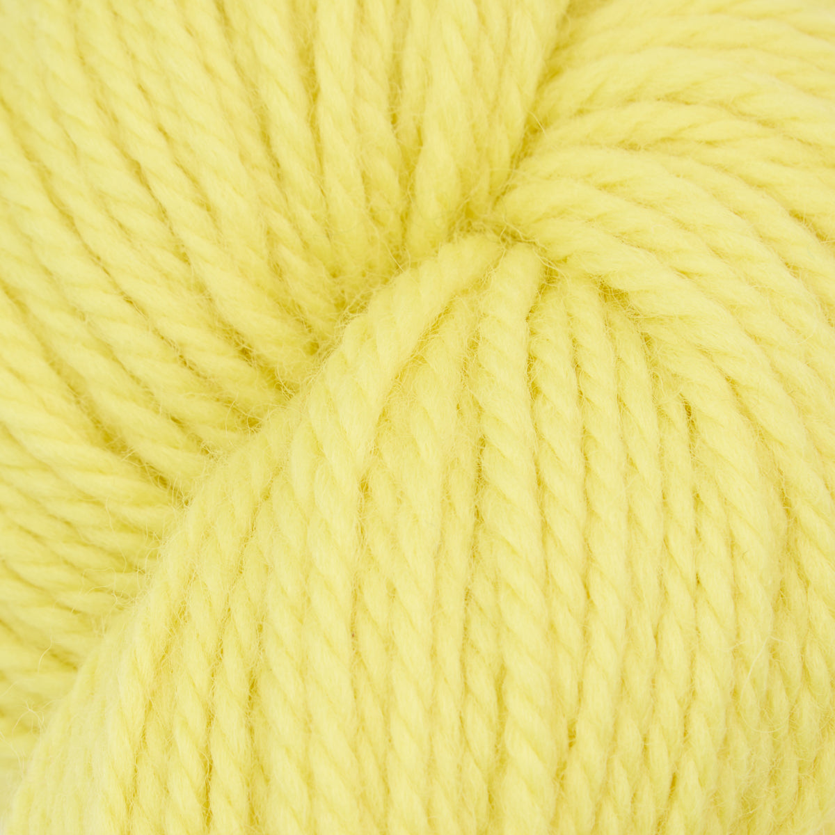 oxford-violet-jane-spotlight-fine-fil-laine-jaune-citron image 1