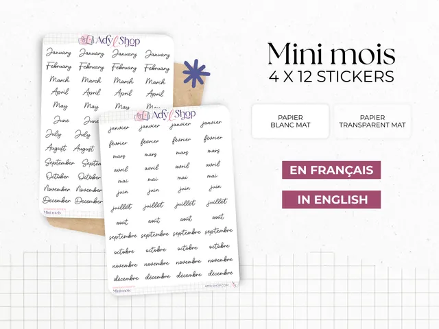 adylshop-mois-de-l-ann-e-planche-48-mini-stickers-fran-ais-blanc image 1