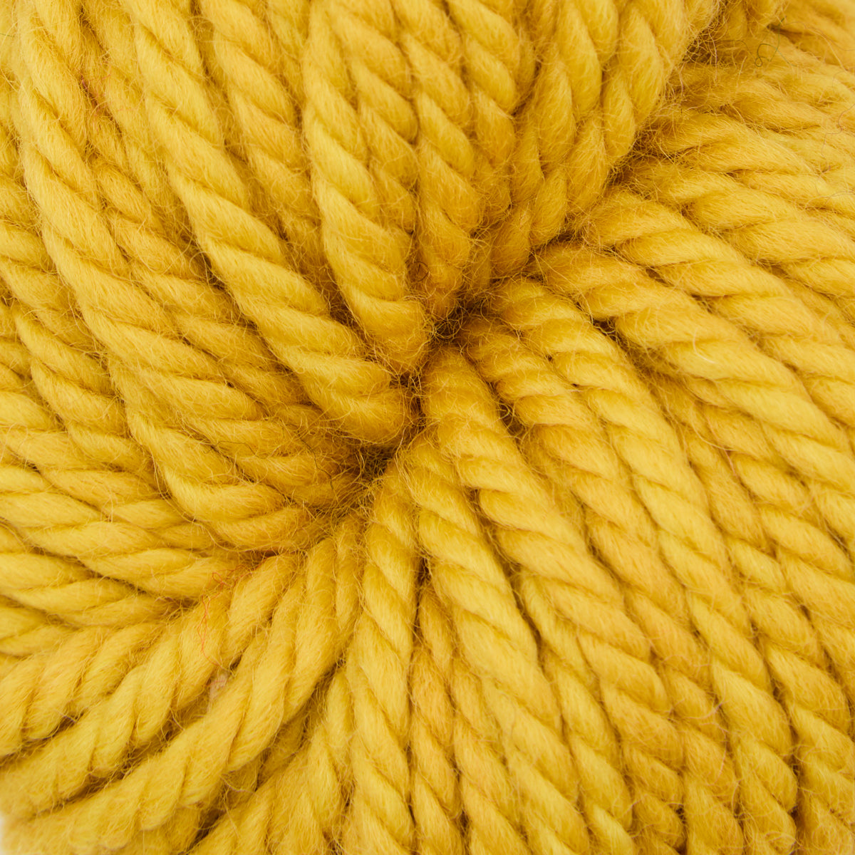 oxford-violet-jane-pencil-factory-fil-laine-jaune-orang-tapis image 1
