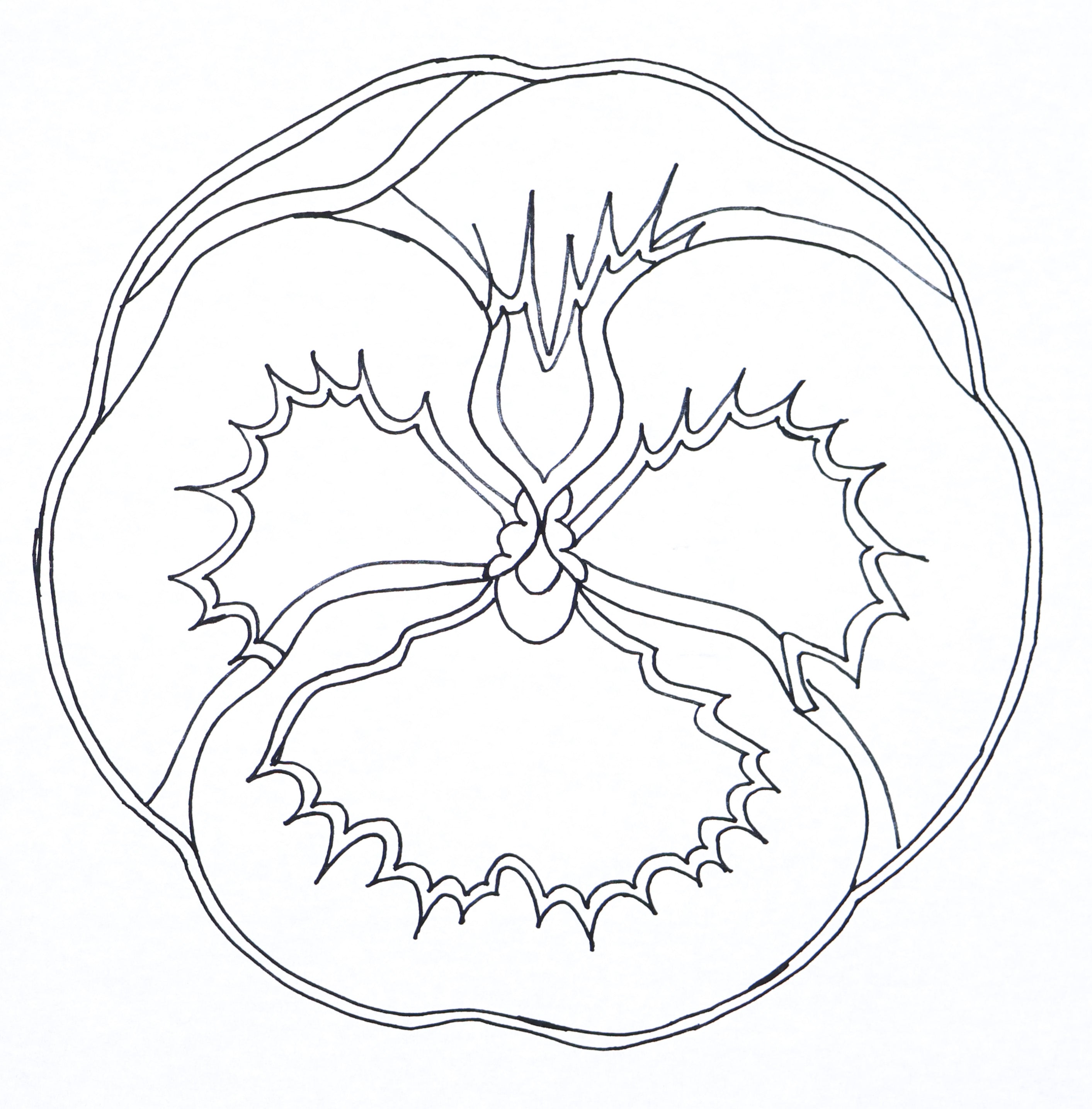 the-oxford-company-pansy-33-cm-patron-punch-needle-floral image 2