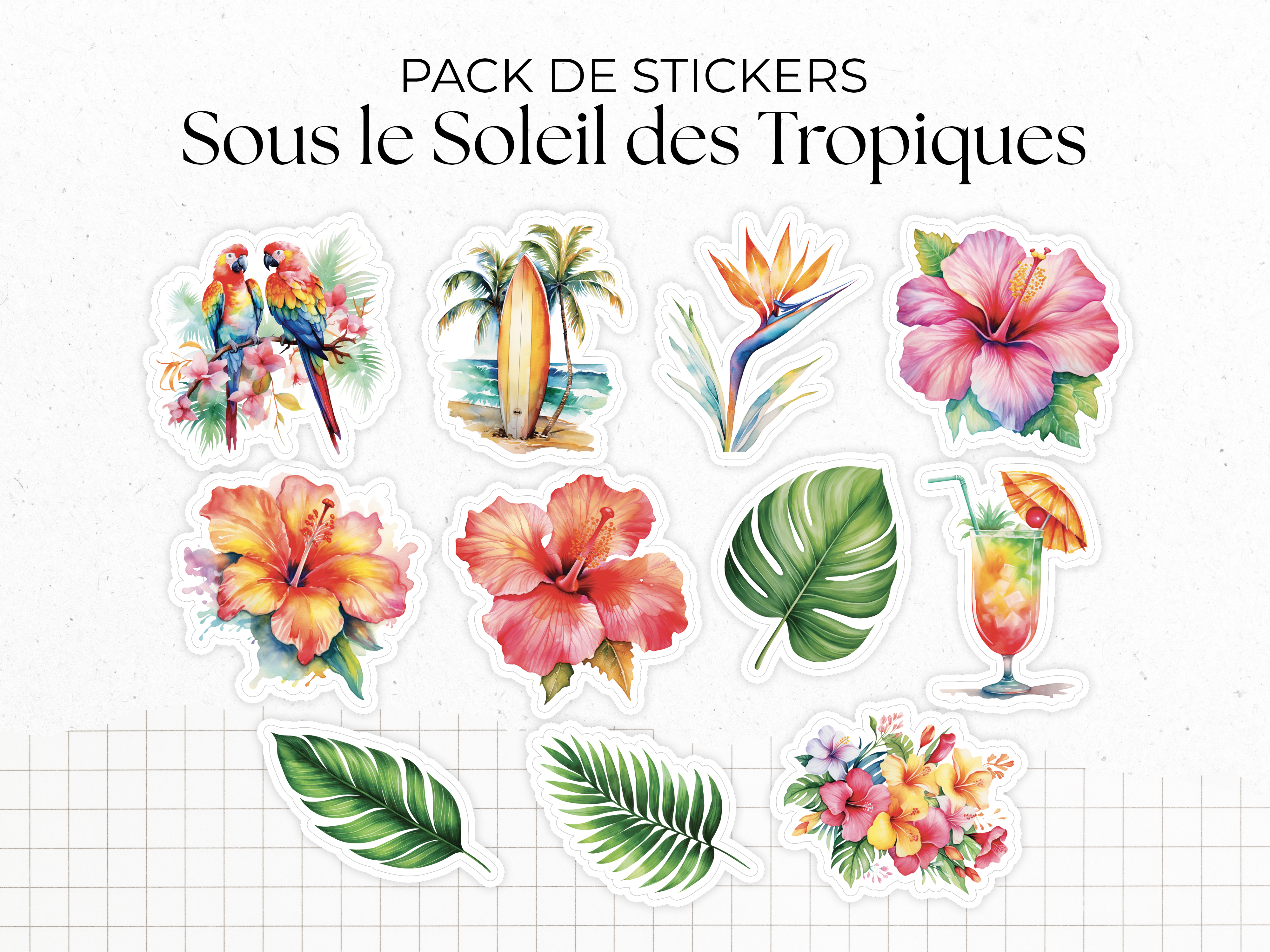 adylshop-tropiques-planche-stickers-headers-et-formes-t image 6