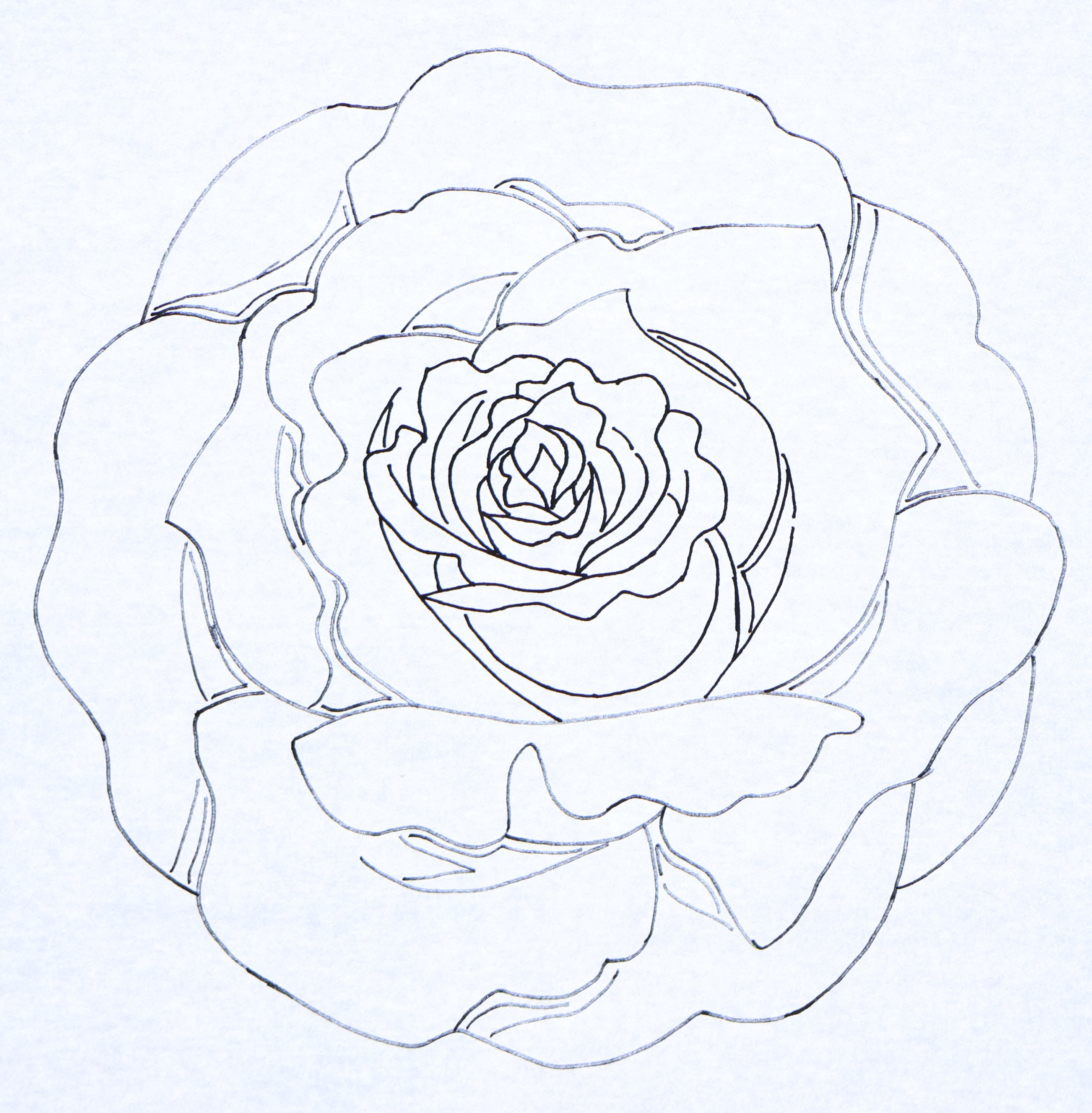 the-oxford-company-rose-13-patron-punch-needle-floral-33-cm image 2