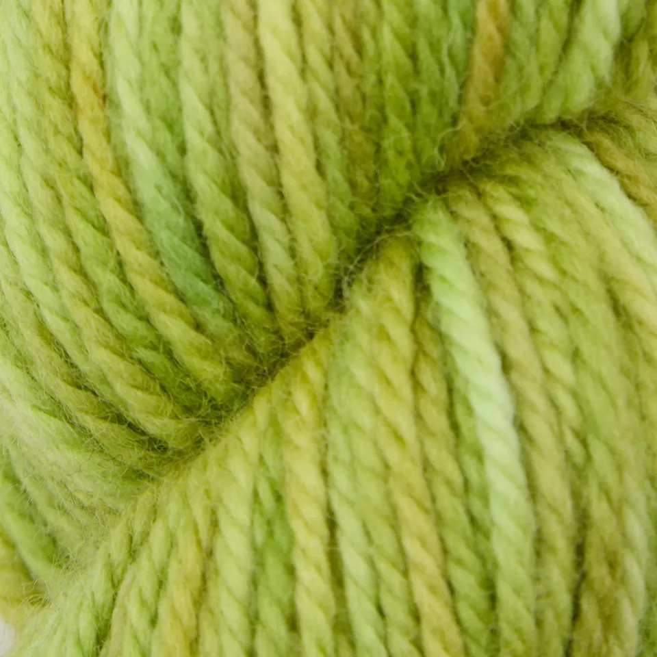 oxford-violet-jane-parakeet-laine-fine-verte-113-g image 1