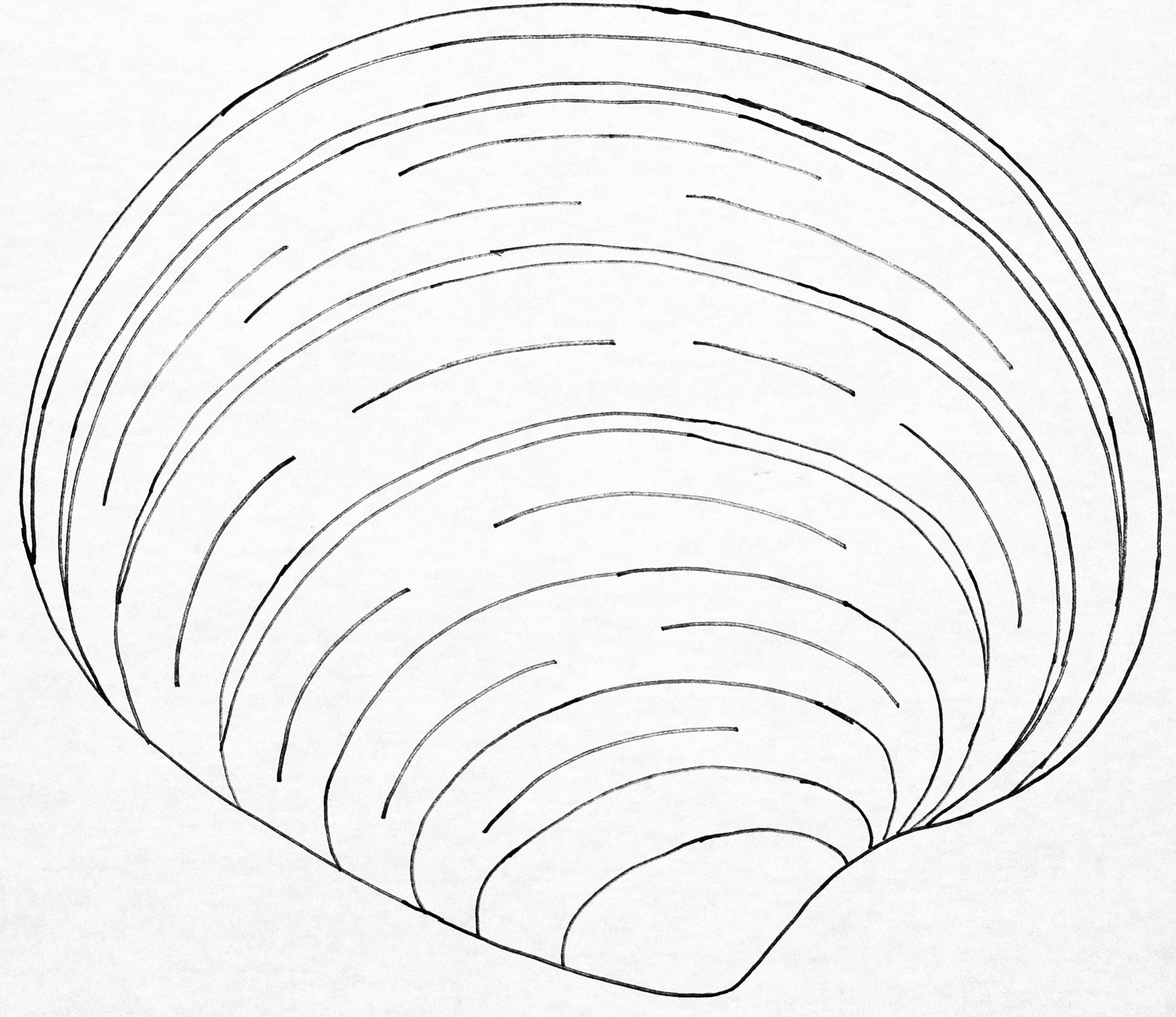 oxford-punch-needle-patterns-clam-shell-patron-coquillage-30-5x35-6cm image 2