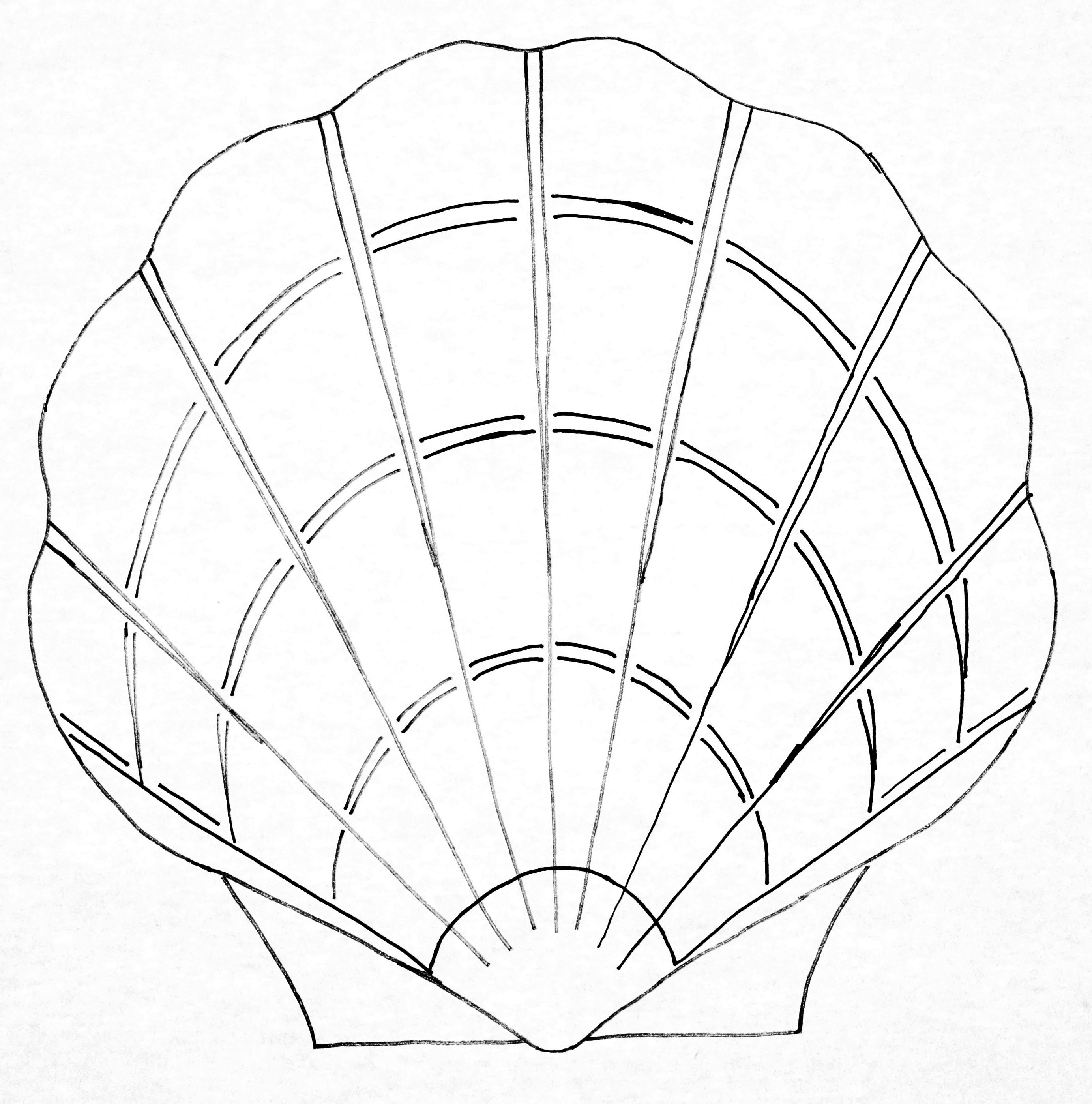 oxford-punch-needle-patterns-scallop-shell-patron-33-cm-coquille image 2