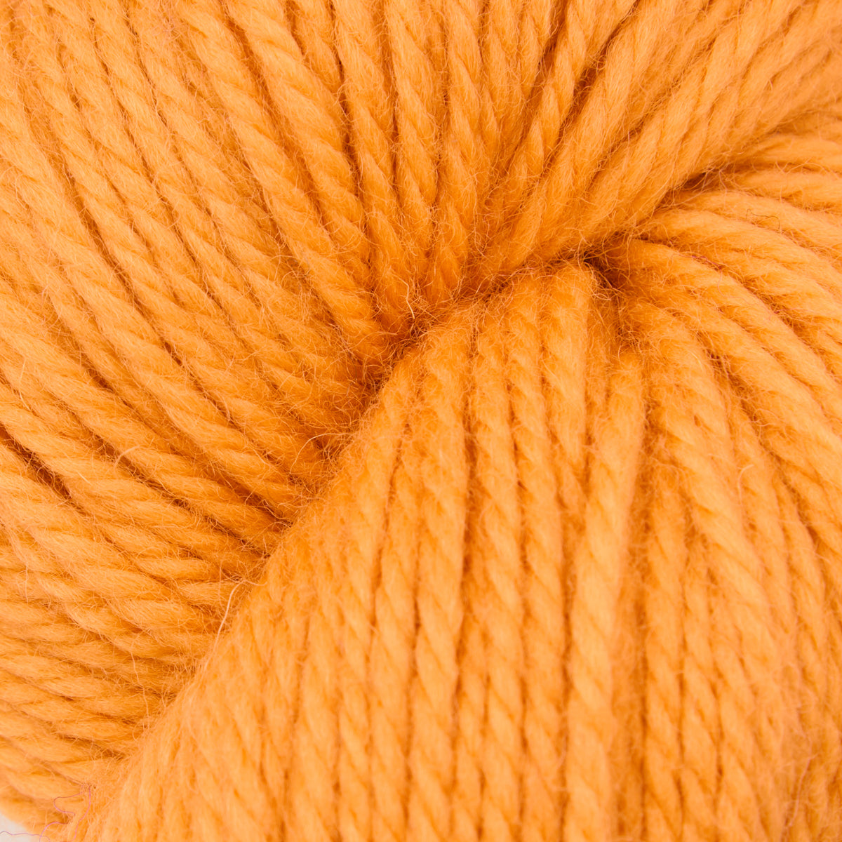 oxford-violet-jane-jackie-o-lantern-laine-punch-orange-113g image 1