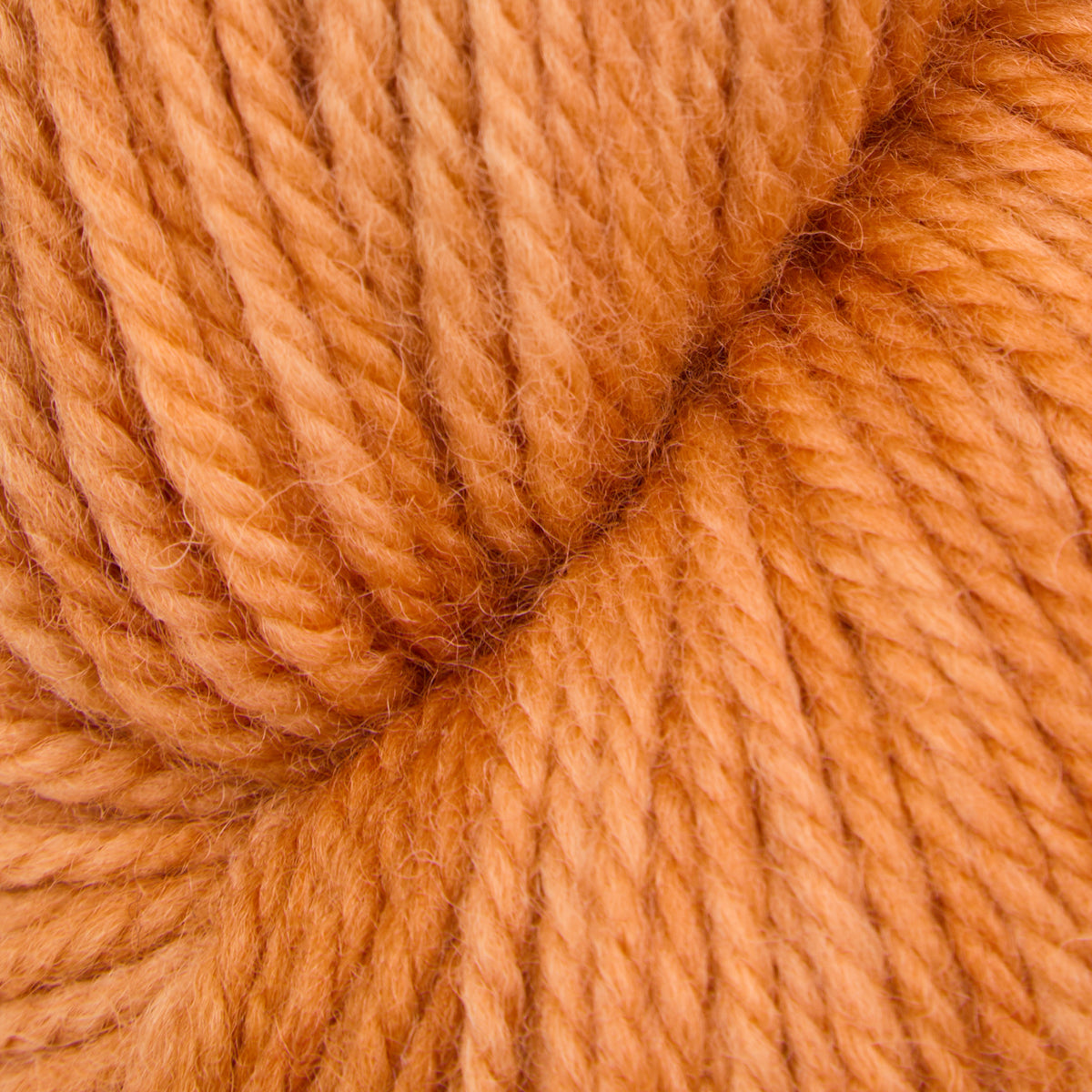 oxford-violet-jane-sweet-potato-fries-laine-fine-orange-113-g image 1
