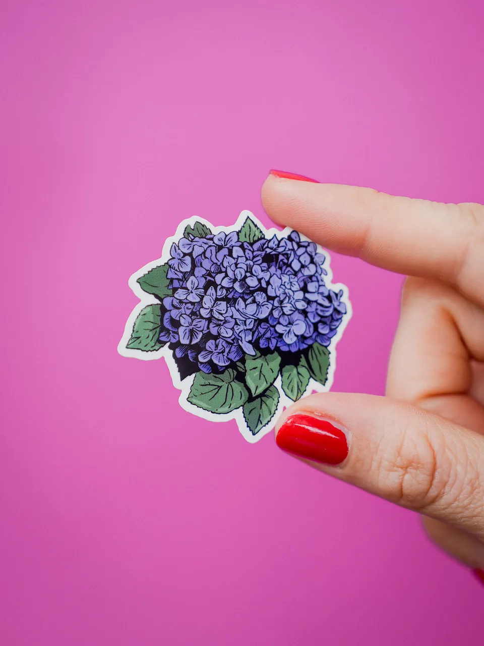bonjour-club-stickers-hortensia-autocollant-floral image 1