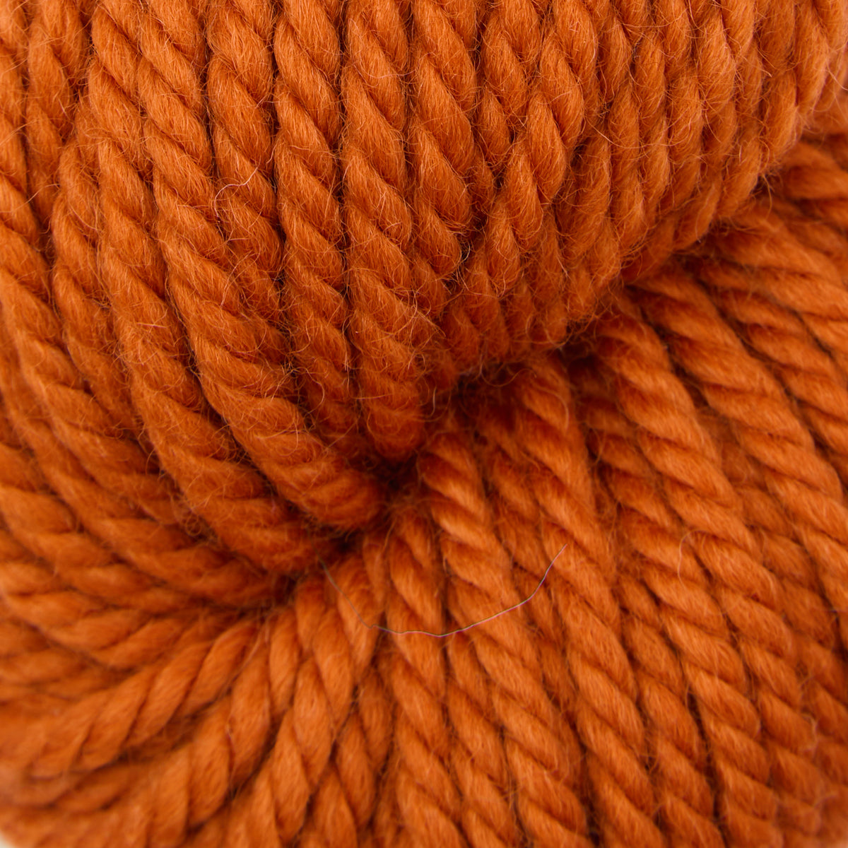 oxford-violet-jane-autumn-spice-fil-tapis-orange-113-g image 1