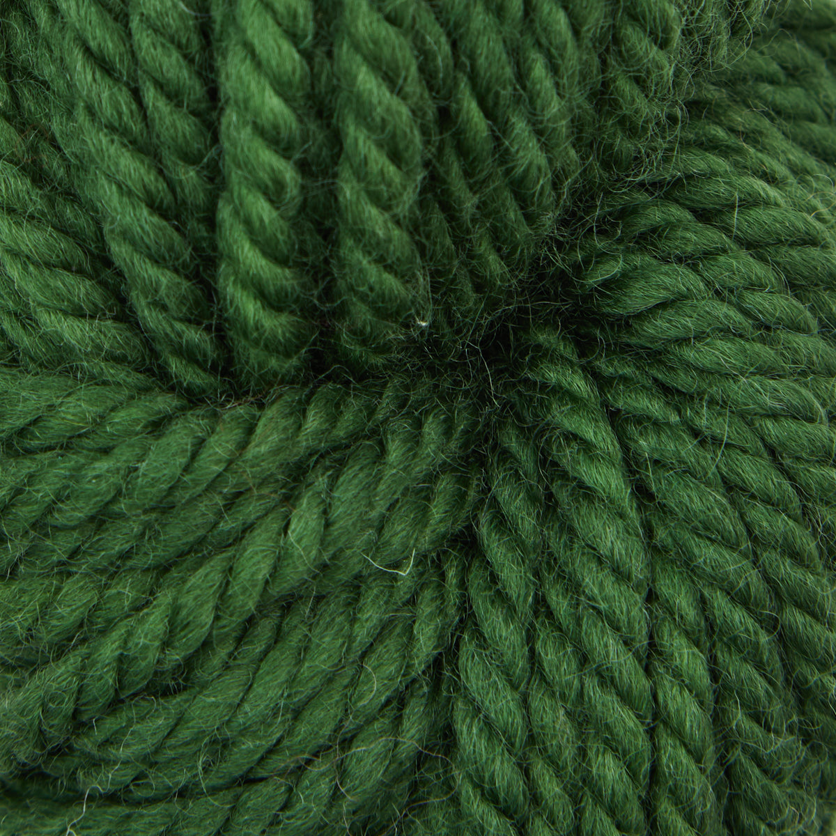 the-oxford-company-violet-jane-moss-fil-laine-vert-meraude-113-g image 1