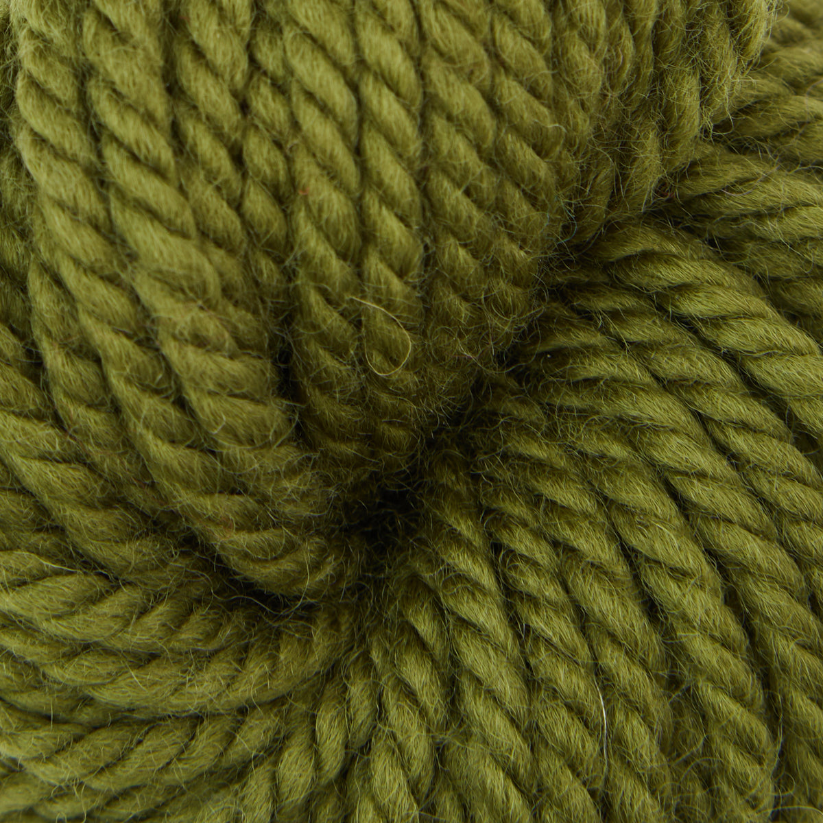 the-oxford-company-violet-jane-green-olive-fil-tapis-laine-100 image 1