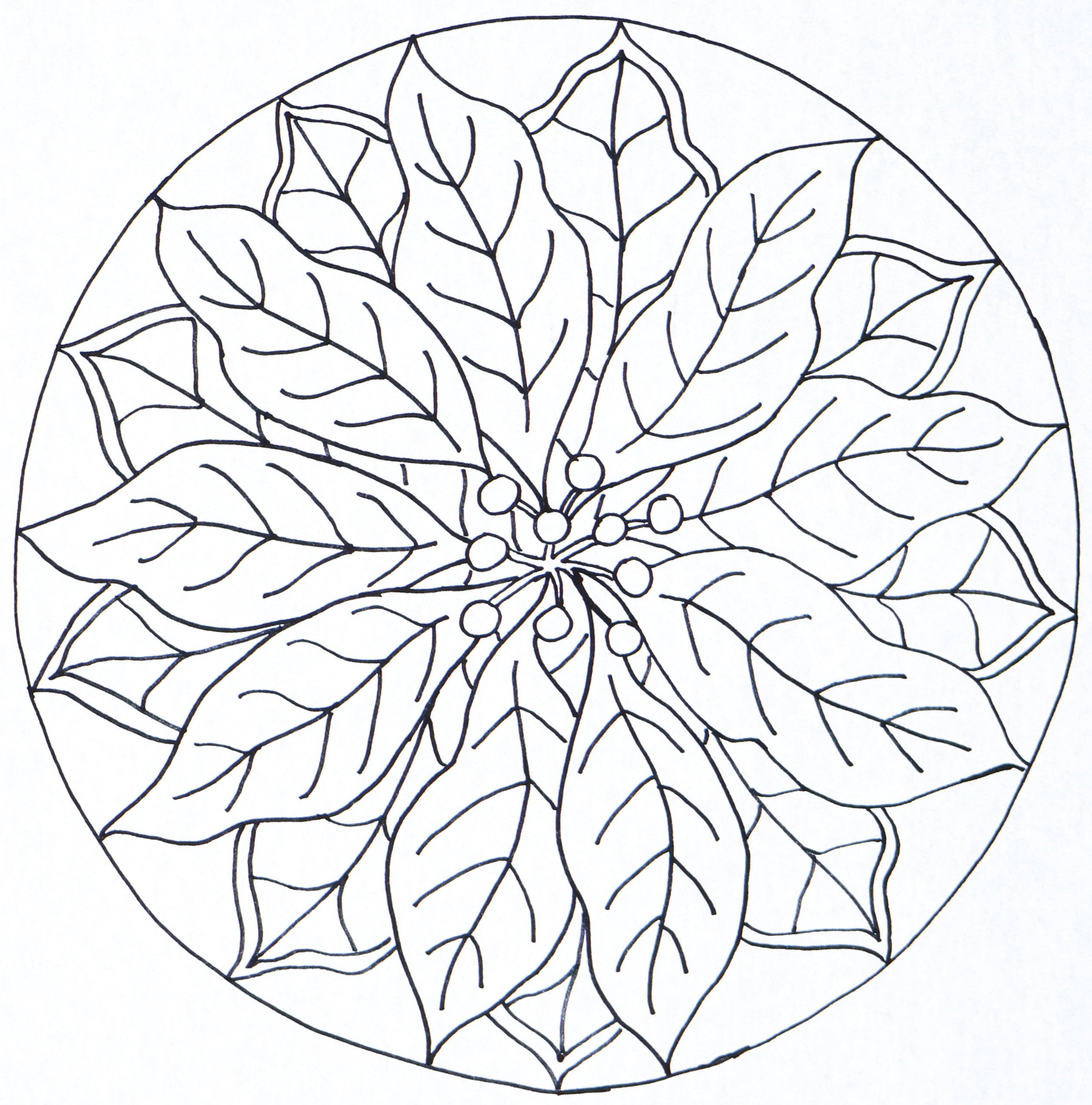 the-oxford-company-punch-needle-patterns-poinsettia-patron-punch-needle-no-l-30- image 2