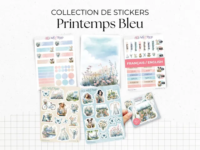 adylshop-sets-mensuels-printemps-bleu-stickers-fleurs-fran-ais image 1