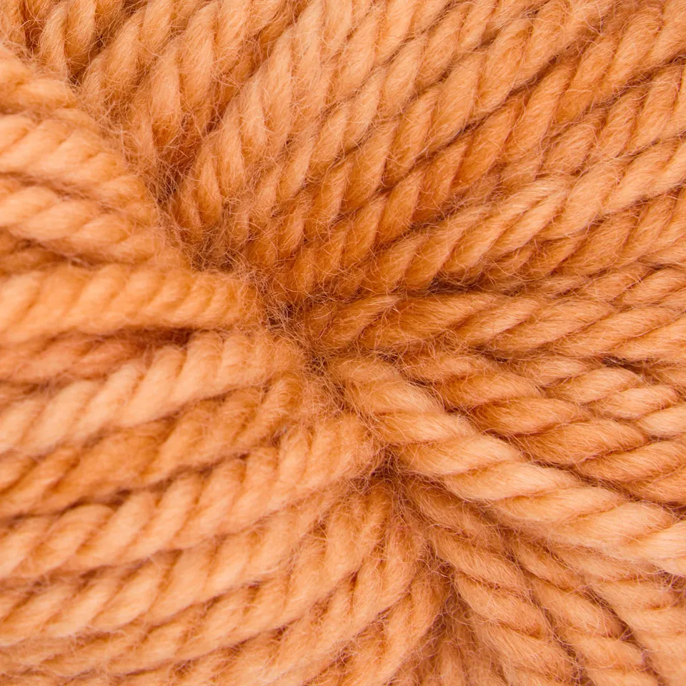 the-oxford-company-violet-jane-sweet-potato-fries-laine-orange-113-g image 1